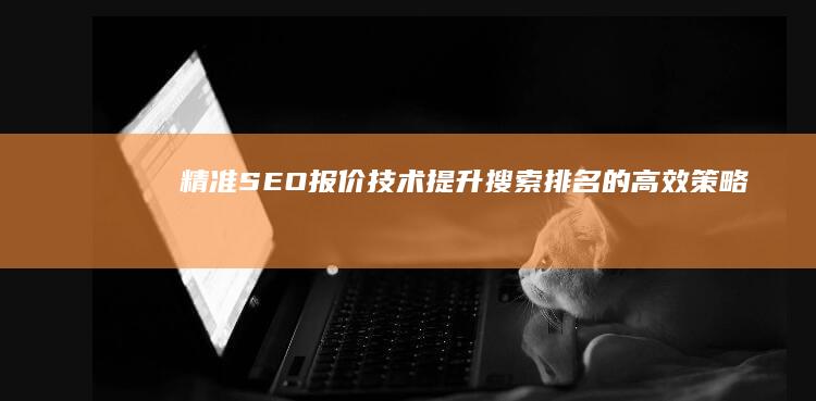 精准SEO报价技术：提升搜索排名的高效策略